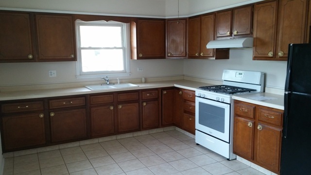 110 N Crest Ave, Bartlett, IL 60103 photo 12