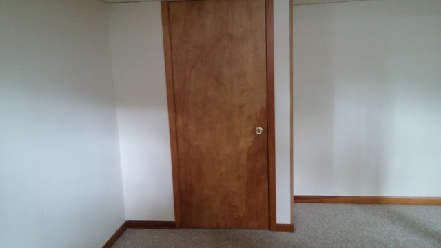 110 N Crest Ave, Bartlett, IL 60103 photo 5