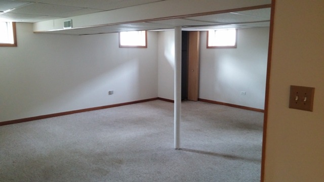 110 N Crest Ave, Bartlett, IL 60103 photo 6