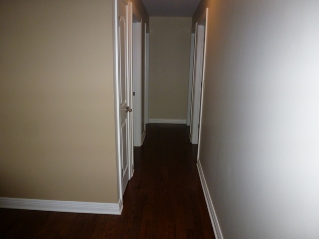 621 E Devon Ave, Roselle, IL 60172 photo 11