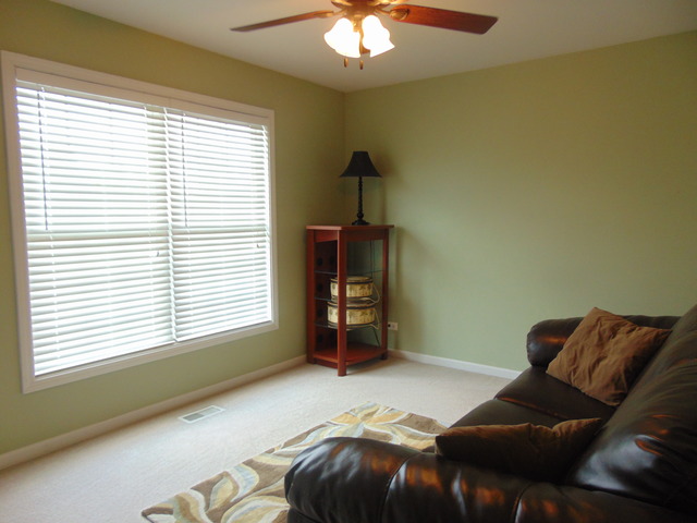 15254 Eyre Cir, Plainfield, IL 60544 photo 11