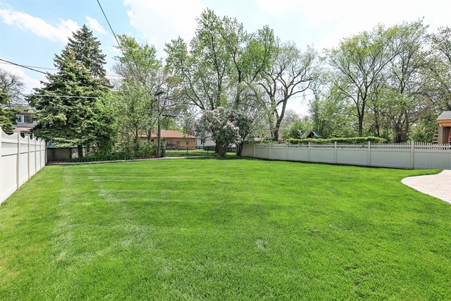 445 N Maple Ave, Elmhurst, IL 60126 photo 24