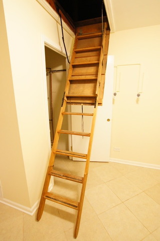 923 E Grant Dr, Des Plaines, IL 60016 photo 22