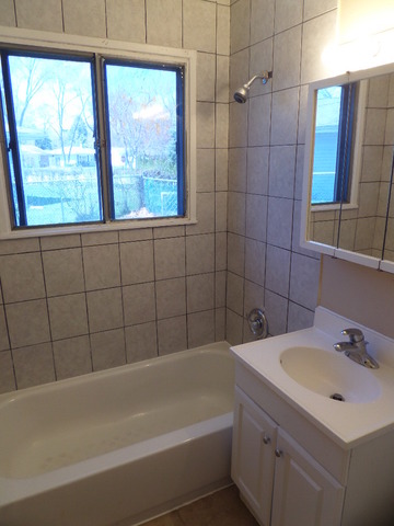 216 E Wayne Pl, Wheeling, IL 60090 photo 17