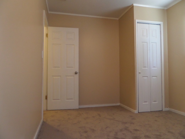 216 E Wayne Pl, Wheeling, IL 60090 photo 15