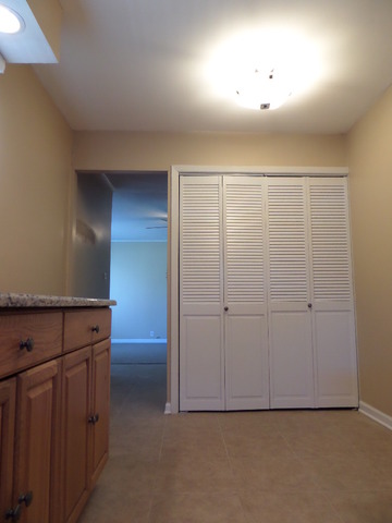 216 E Wayne Pl, Wheeling, IL 60090 photo 21