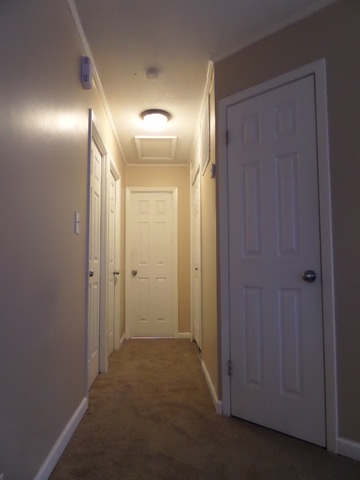 216 E Wayne Pl, Wheeling, IL 60090 photo 9