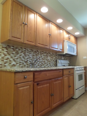 216 E Wayne Pl, Wheeling, IL 60090 photo 18