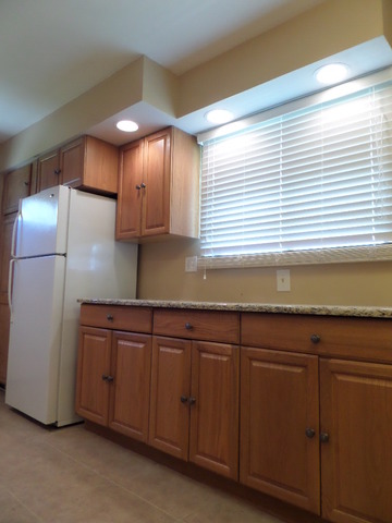 216 E Wayne Pl, Wheeling, IL 60090 photo 19
