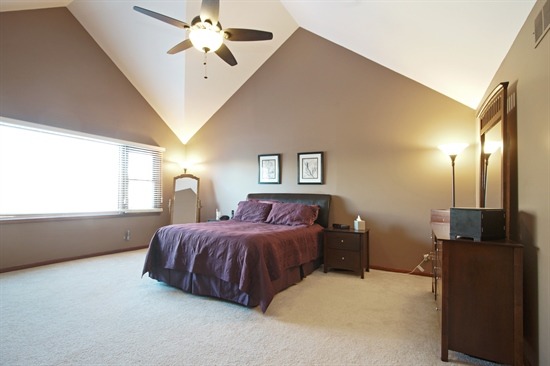 1665 Brittany Ln, Hoffman Estates, IL 60192 photo 9