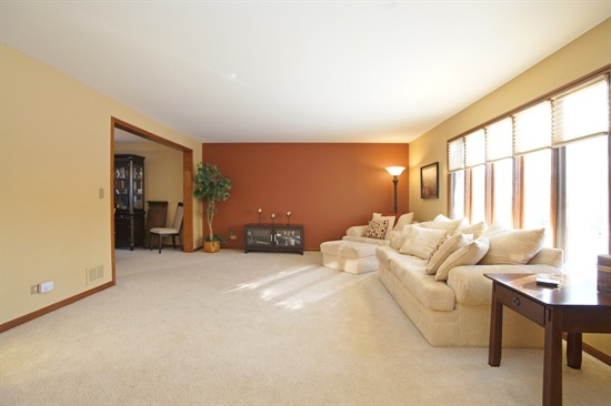1665 Brittany Ln, Hoffman Estates, IL 60192 photo 6