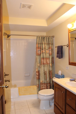 643 Cedar Ln, Bartlett, IL 60103 photo 11