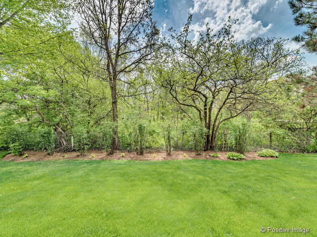 2340 Richmond Dr, Wheaton, IL 60189 photo 25