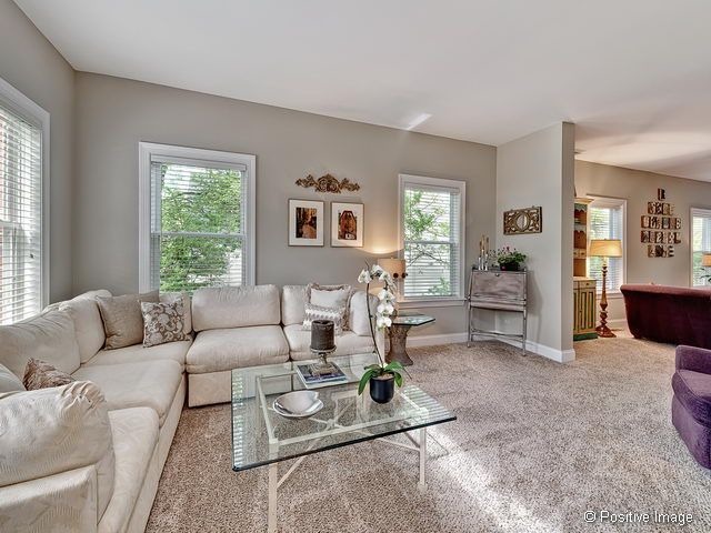 834 S Wright St, Naperville, IL 60540 photo 6