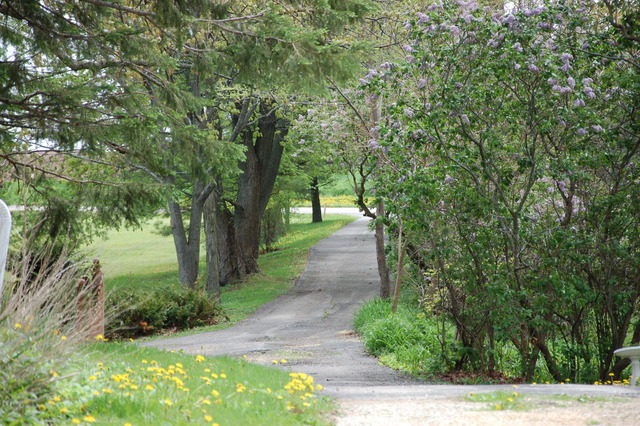 20310 Hebron Rd, Harvard, IL 60033 photo 17
