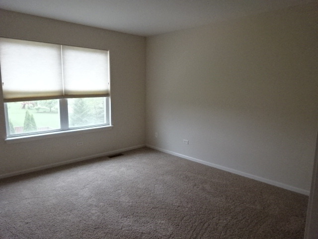 13442 Kerr St, Plainfield, IL 60585 photo 19