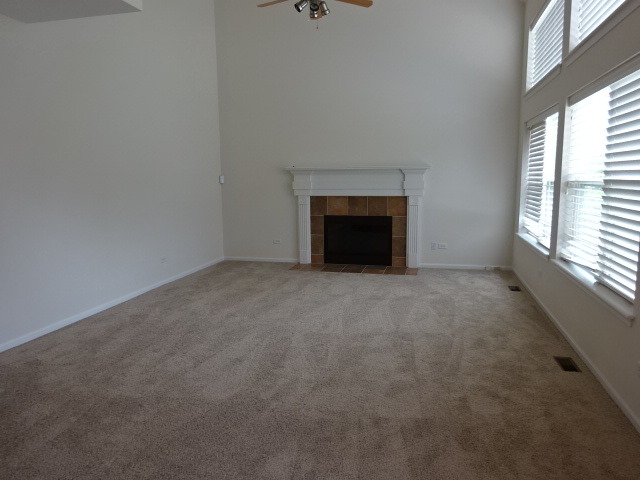 13442 Kerr St, Plainfield, IL 60585 photo 9