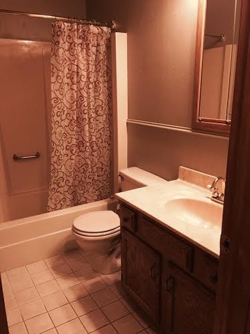 119 Barry Ave, Byron, IL 61010 photo 13