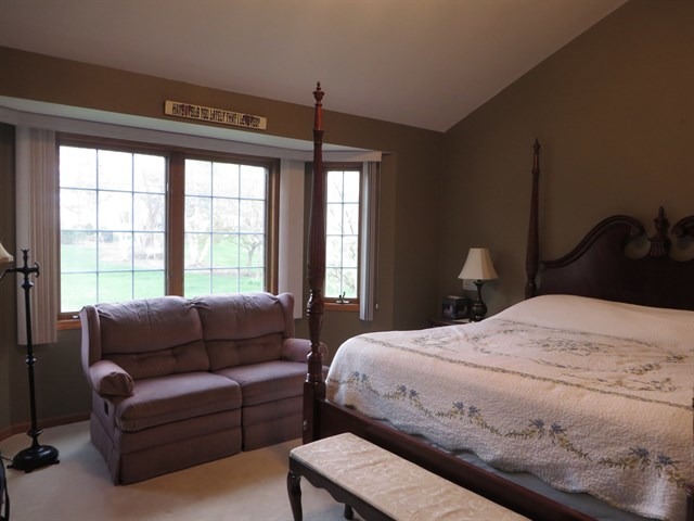 15223 S Michael Dr, Plainfield, IL 60544 photo 12