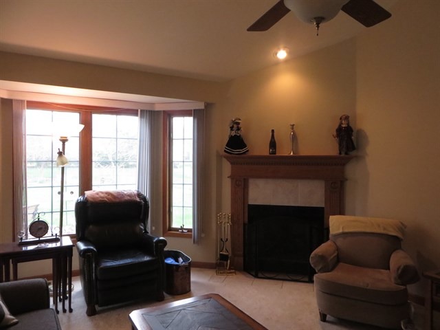 15223 S Michael Dr, Plainfield, IL 60544 photo 8