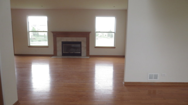 361 Veronica Cir, Bartlett, IL 60103 photo 4