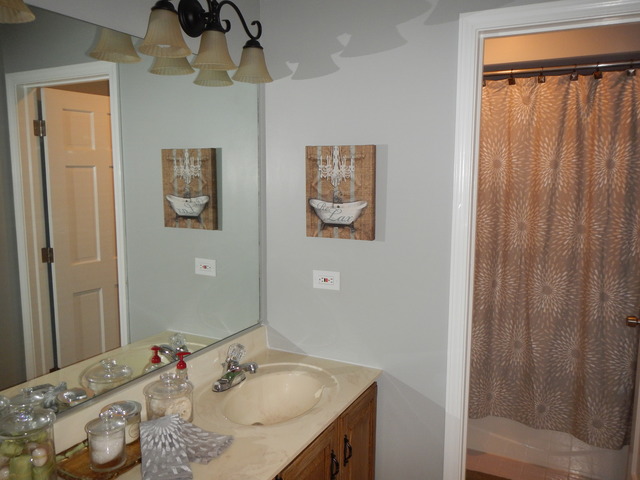 740 Fairway View Dr, Algonquin, IL 60102 photo 19