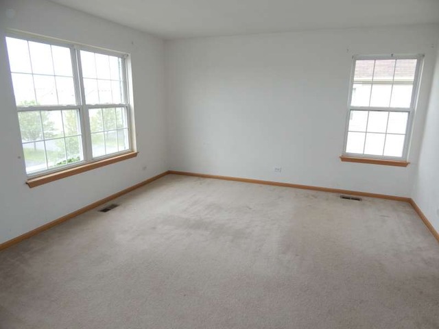 14517 Thomas Jefferson Dr, Plainfield, IL 60544 photo 10