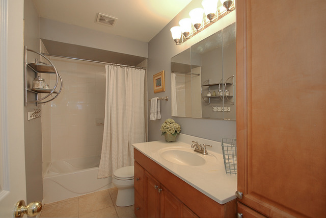 1517 Wilson Ave, Wheaton, IL 60189 photo 12