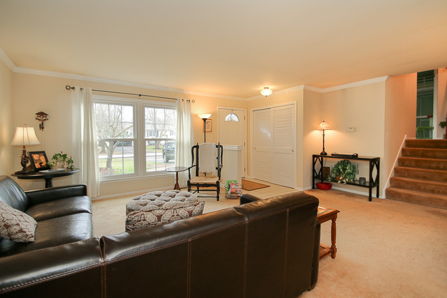 1517 Wilson Ave, Wheaton, IL 60189 photo 9