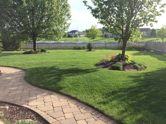 13406 Wellesley Ct, Plainfield, IL 60585 photo 3