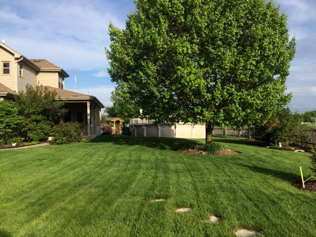 13406 Wellesley Ct, Plainfield, IL 60585 photo 4