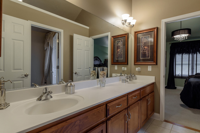 13439 Skyline Dr, Plainfield, IL 60585 photo 19