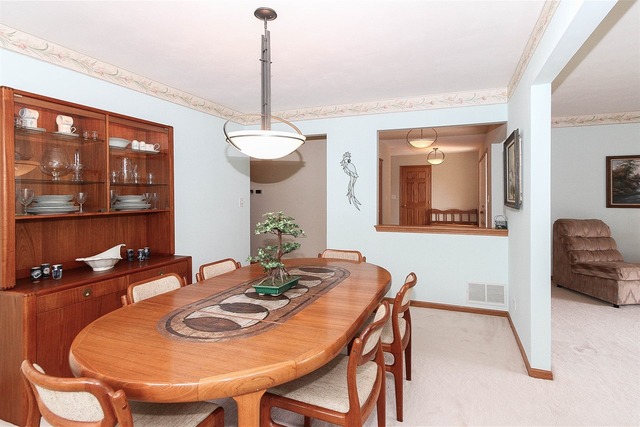 856 Middleton Ln, Bartlett, IL 60103 photo 12