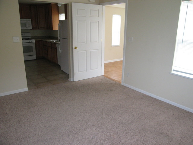 412 W Corning Ave, Peotone, IL 60468 photo 14