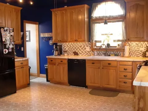 117 Monroe St, Elgin, IL 60123 photo 3
