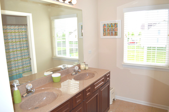 6619 Mountain Ridge Pass, Plainfield, IL 60586 photo 23