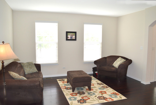 6619 Mountain Ridge Pass, Plainfield, IL 60586 photo 5