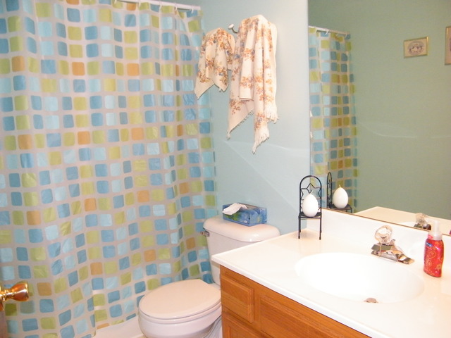 36575 N Iola Ave, Ingleside, IL 60041 photo 16