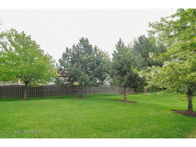 5703 Michael Ct, Rolling Meadows, IL 60008 photo 25