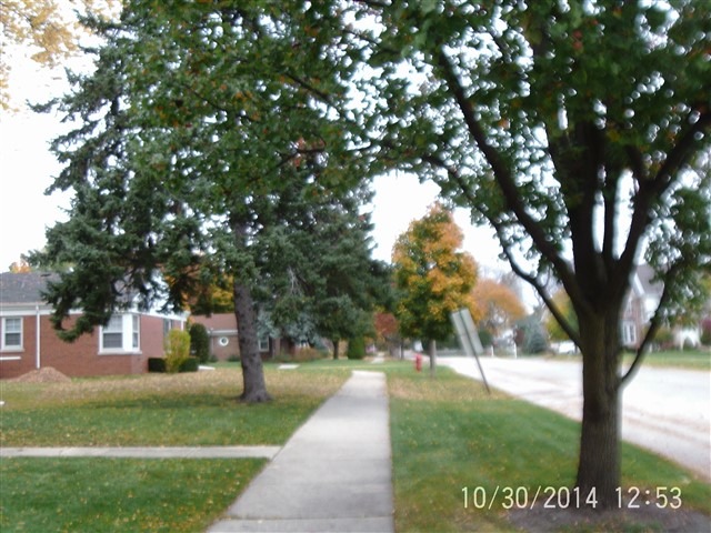 284 N 8th Ave, Des Plaines, IL 60016 photo 10