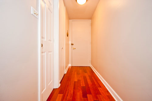 100 E Walton St #16c, Chicago, IL 60610 photo 8
