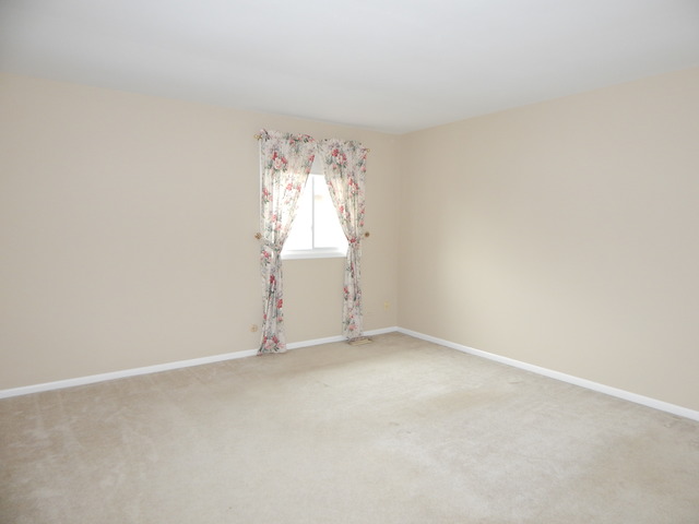 1233 Borough Ct, Wheaton, IL 60189 photo 14