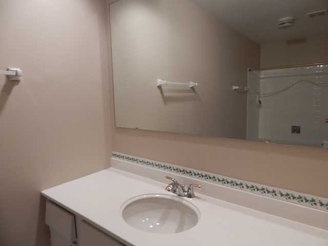 1233 Borough Ct, Wheaton, IL 60189 photo 16