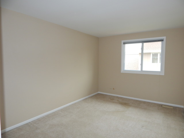 1233 Borough Ct, Wheaton, IL 60189 photo 17