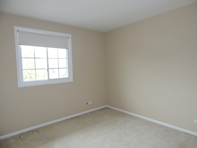 1233 Borough Ct, Wheaton, IL 60189 photo 19