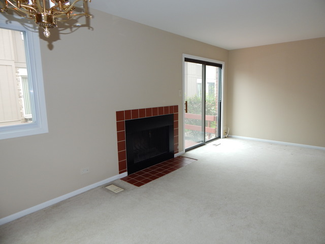 1233 Borough Ct, Wheaton, IL 60189 photo 11