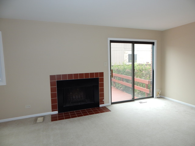 1233 Borough Ct, Wheaton, IL 60189 photo 10
