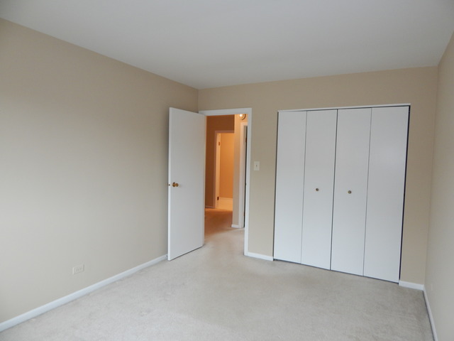 1233 Borough Ct, Wheaton, IL 60189 photo 18