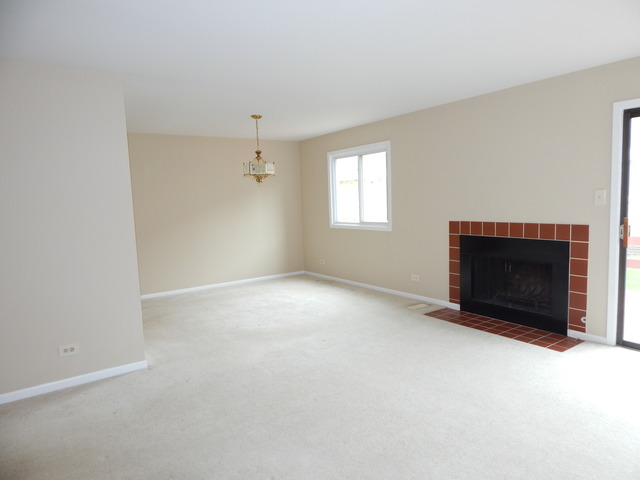 1233 Borough Ct, Wheaton, IL 60189 photo 9