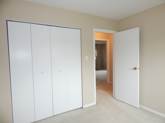 1233 Borough Ct, Wheaton, IL 60189 photo 20